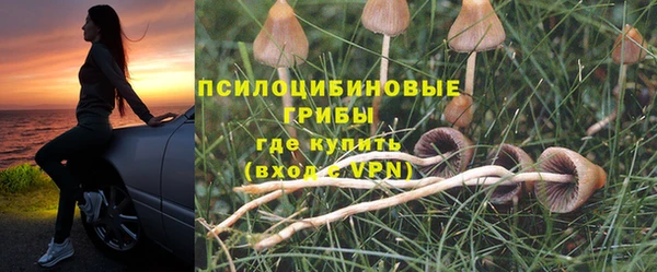 ПСИЛОЦИБИНОВЫЕ ГРИБЫ Снежногорск