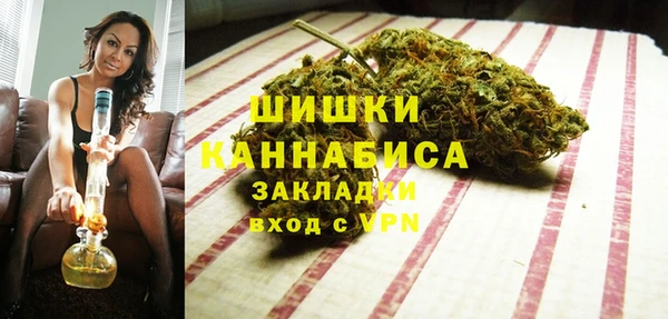 шишки Снежинск